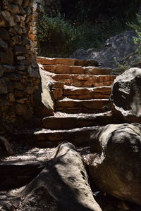 Rocks by trees