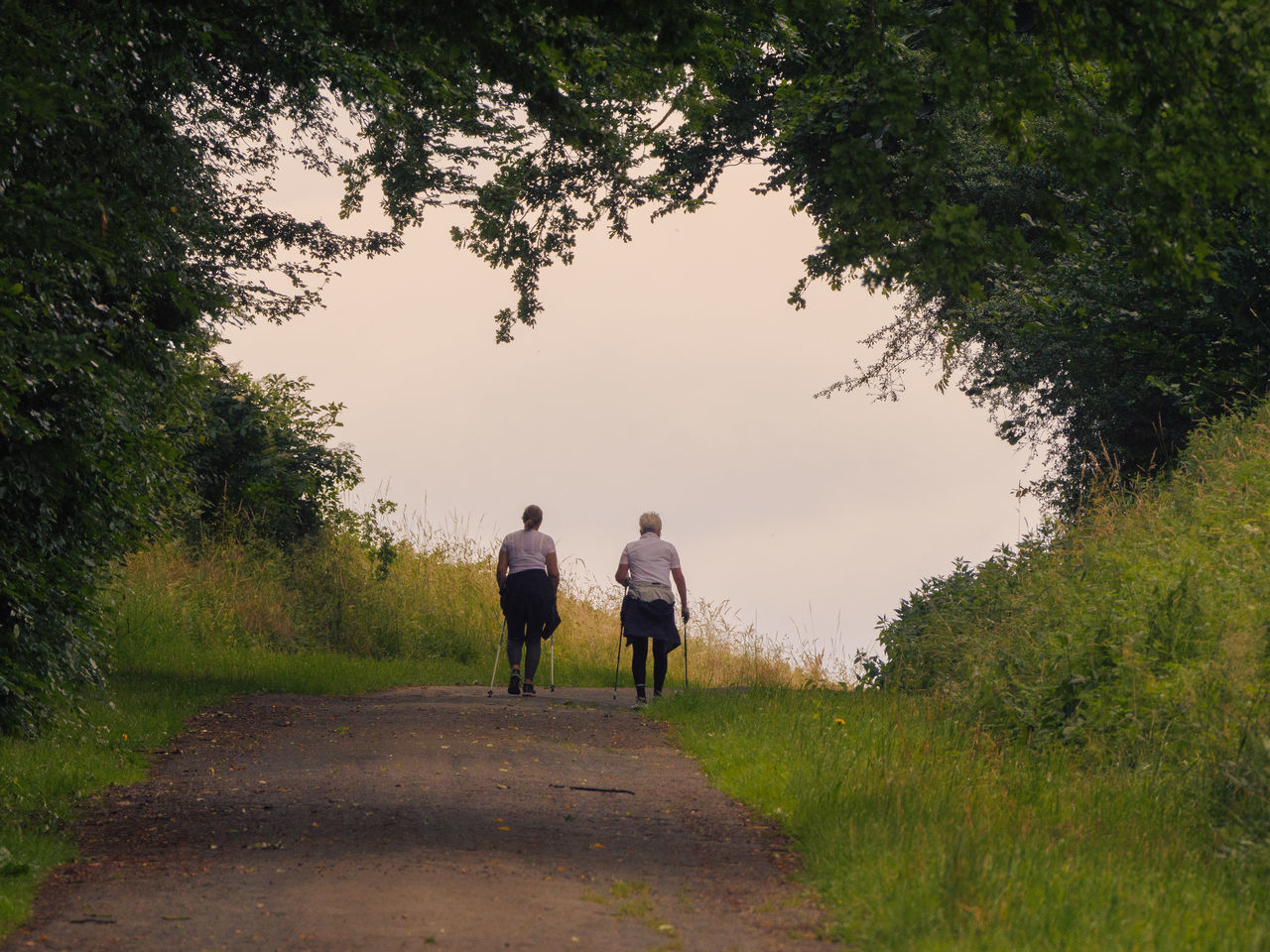 plant, tree, walking, rear view, adult, men, nature, togetherness, two people, full length, rural area, women, lifestyles, footpath, road, leisure activity, transportation, morning, grass, the way forward, activity, sky, child, hill, outdoors, meadow, landscape, female, beauty in nature, family, bonding, positive emotion, dirt, dirt road, day, environment, childhood, motion, friendship, emotion, travel, love, trail, animal themes, rural scene, animal