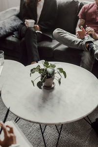 Potted plant on table