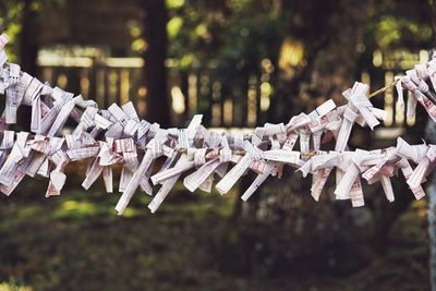 Close-up of papers tied on rope hanging outdoors