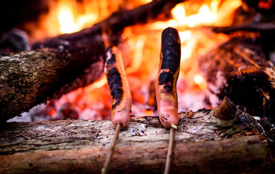 Close-up of sausages cooking on campfire
