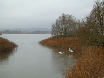 Scenic view of river against sky