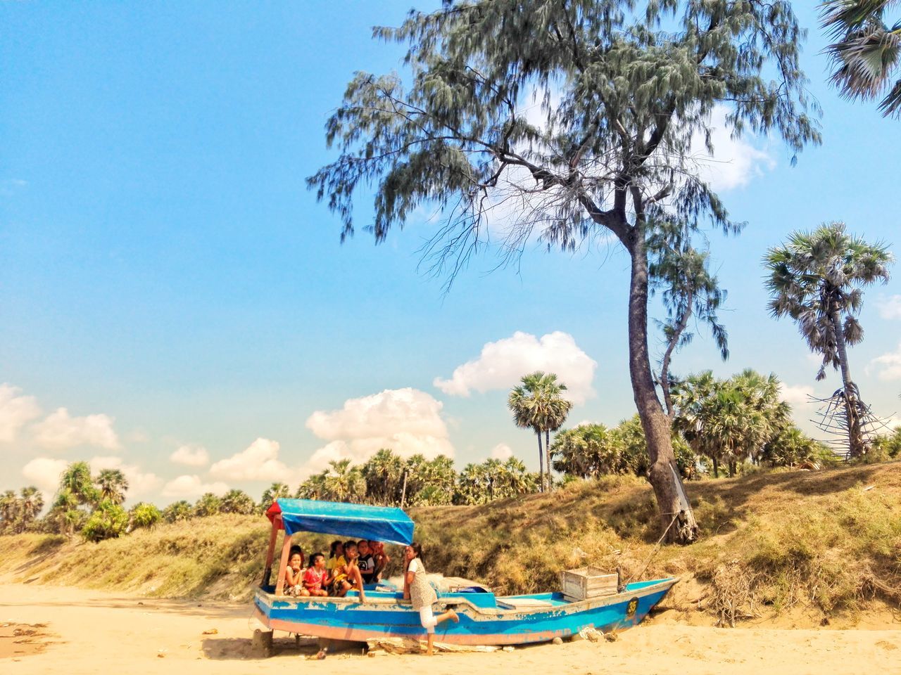 tree, sky, land, transportation, plant, nature, mode of transportation, day, real people, water, sand, beach, leisure activity, sunlight, beauty in nature, nautical vessel, travel, lifestyles, scenics - nature, outdoors