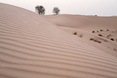 Desert sand dunes landscape background