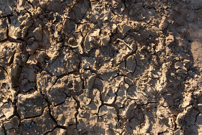 Full frame shot of cracked land