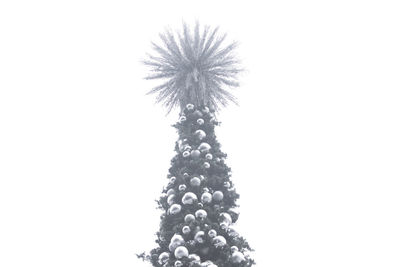 Low angle view of tree against sky