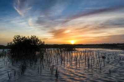 Scenic view of lake against sky during sunset