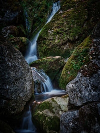 Scenic view of waterfall in forest