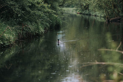 People in lake