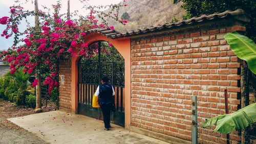 Rear view of man walking by building