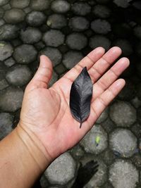 Close-up of hand holding rock