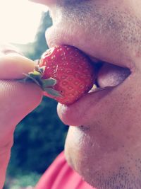 Close-up of hand holding strawberry