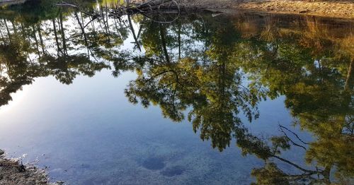 Reflection of trees on lake against sky