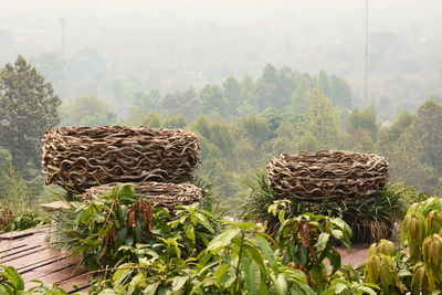 Close-up of wicker basket on field