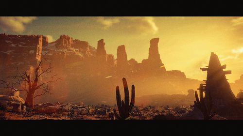 Cactus plants against sunset sky