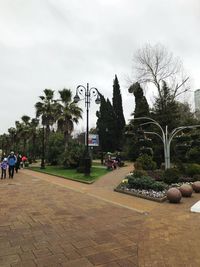 Palm trees in city against sky