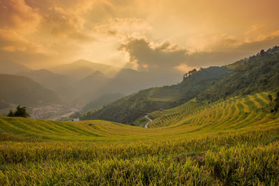 Scenic view of agricultural field against sky during sunset