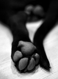Close-up of food on table