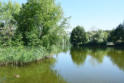 Scenic view of lake against clear sky