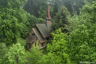 High angle view of trees in forest