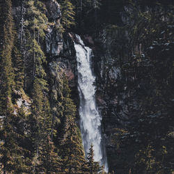 Scenic view of waterfall in forest