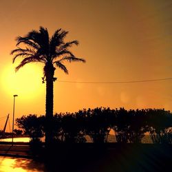 Silhouette of palm trees at sunset