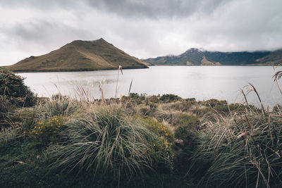 Scenic view of lake against sky