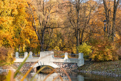 Scenic view of river in forest during autumn