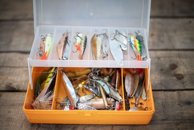 High angle view of fish in container