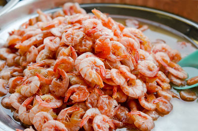 High angle view of seafood in plate