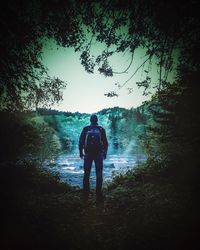 Rear view of men walking in forest