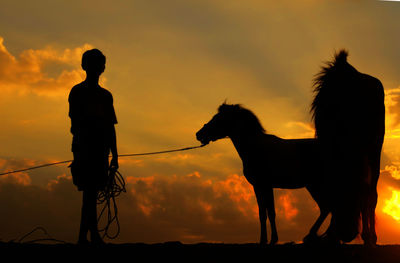 Silhouette boy by horses against sky during sunset 