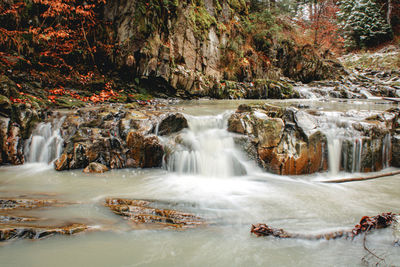 Scenic view of waterfall in forest