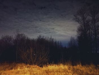 Bare trees on field against sky at dusk