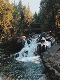 Scenic view of waterfall in forest against sky