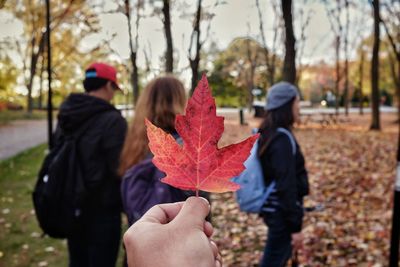 Close-up of person holding maple leaf in forest during autumn