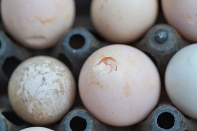 Close-up of eggs