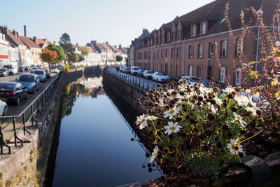 Canal amidst buildings in city against sky