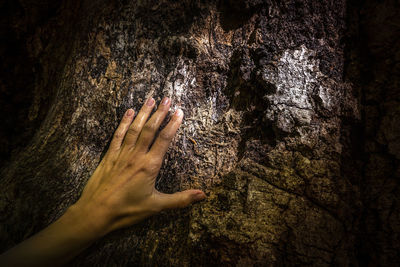 Close-up of hand