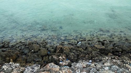 High angle view of pebbles on beach