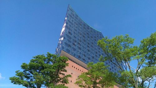 Low angle view of trees against clear blue sky