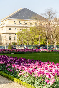 View of plants against built structures