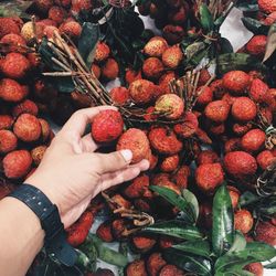 Cropped hand of person holding fruit while shopping in market