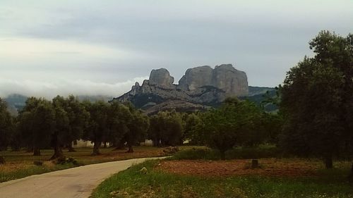 Scenic view of landscape against cloudy sky