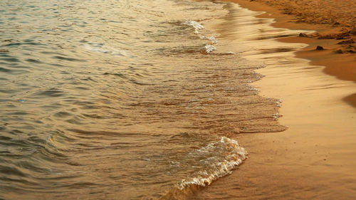 Scenic view of beach