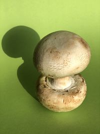 Close-up of mushroom growing against green background