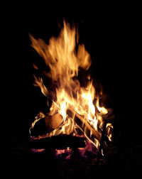 Close-up of bonfire at night