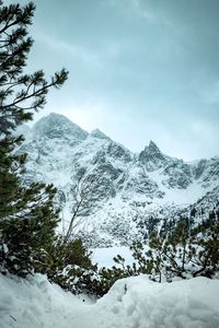 Scenic view of snow covered mountains against sky