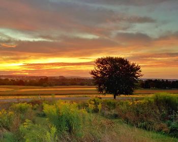 Scenic view of landscape against cloudy sky