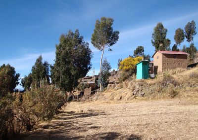 Trees and houses on field against sky